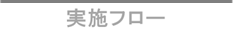 実施フロー